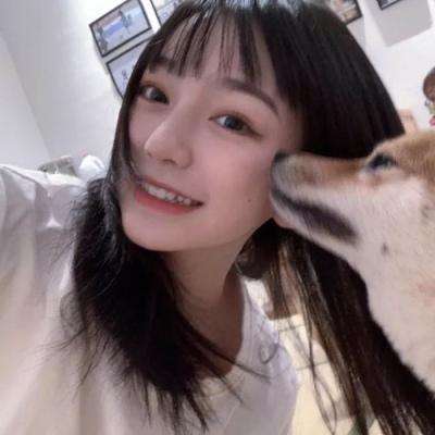 猫狩纪公测版下载